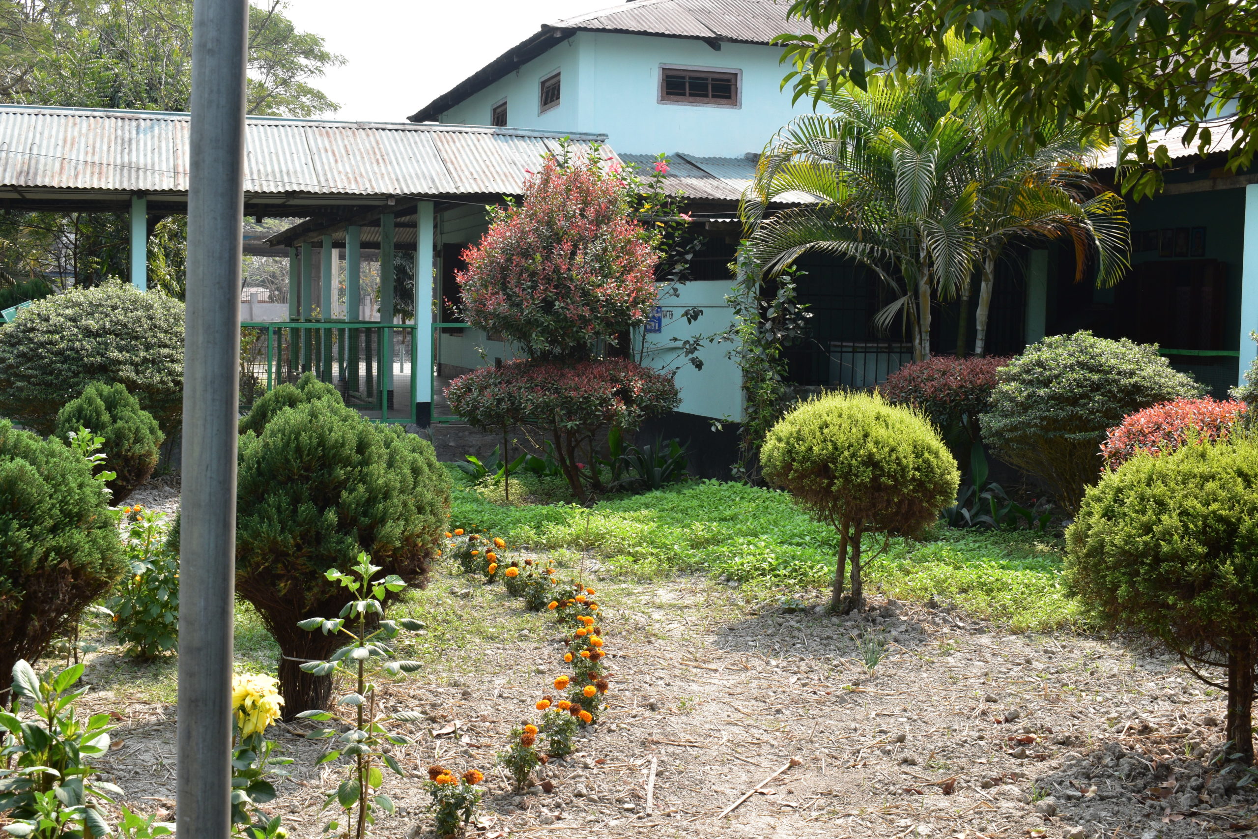 Salbari College